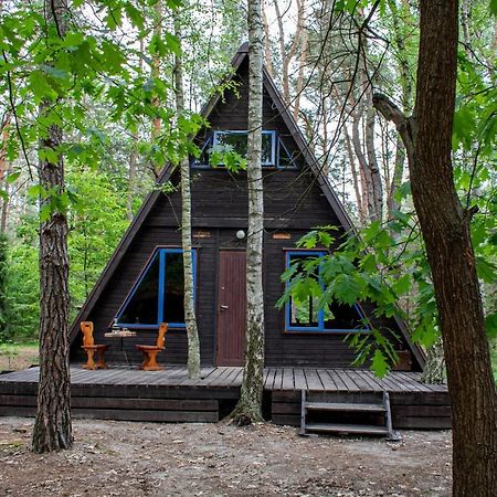 Domki W Wildze Skurcza Ngoại thất bức ảnh